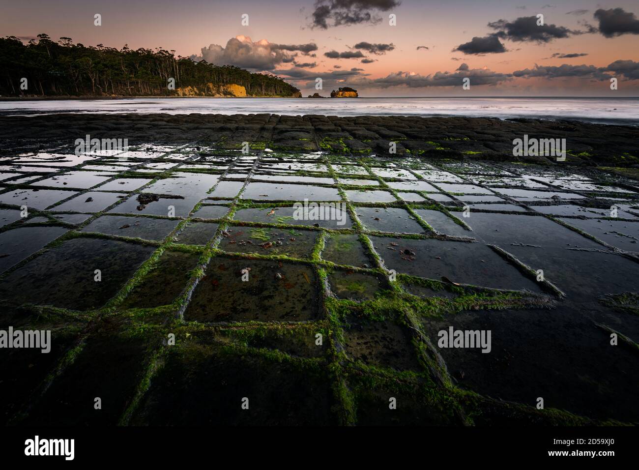 Evening reflection on the fascinating Tessellated Pavement. Stock Photo