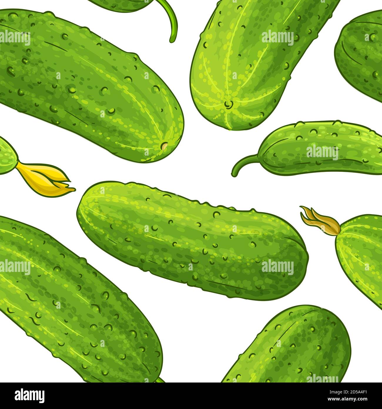 cucumber pattern on white background Stock Photo