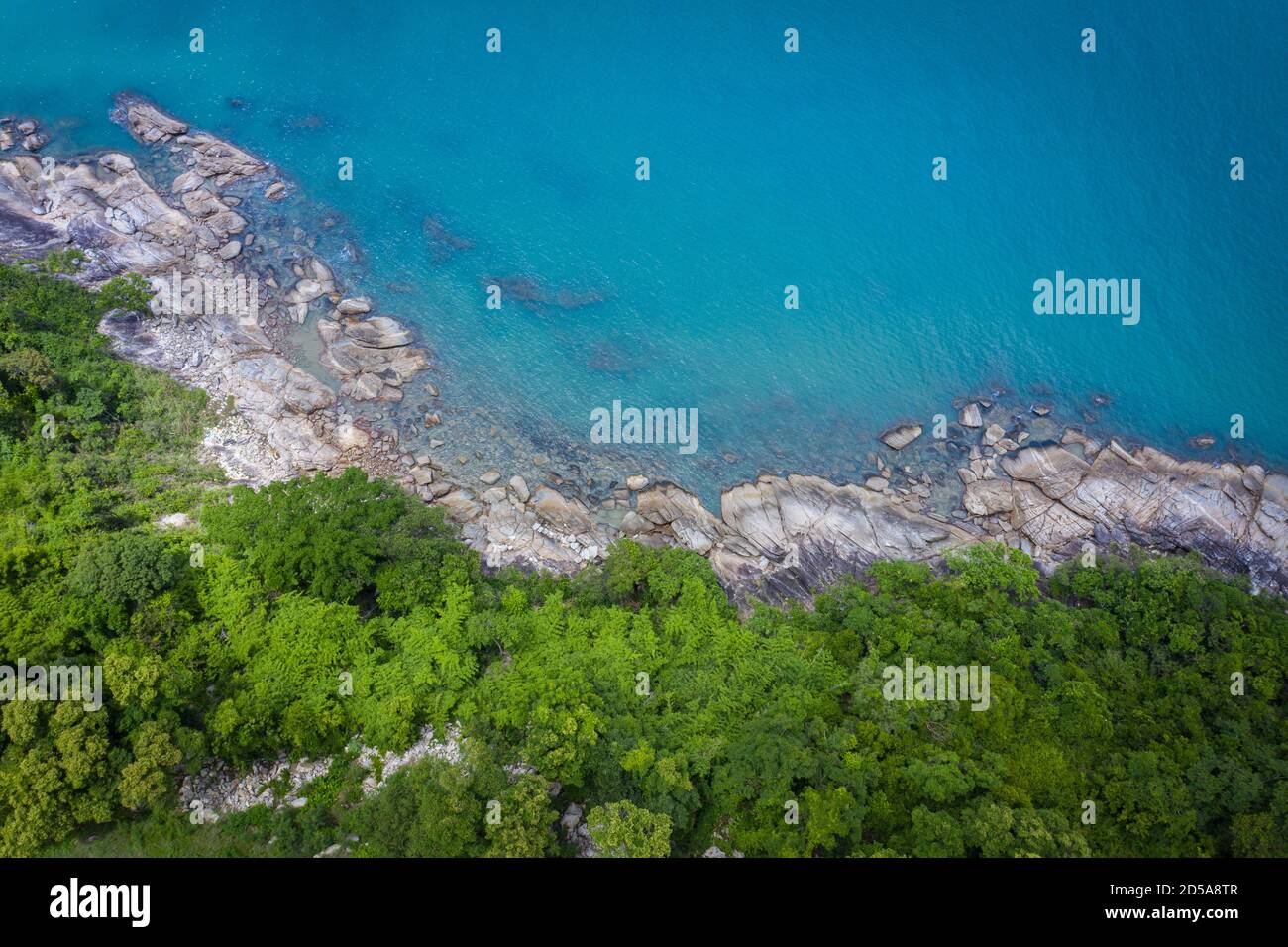 Jungle view image hi-res stock photography and images - Alamy