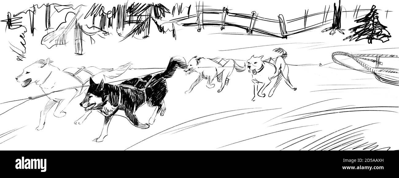 Team of sled dogs running pencil sketch. Background winter northern landscape. Illustration of husky Stock Photo