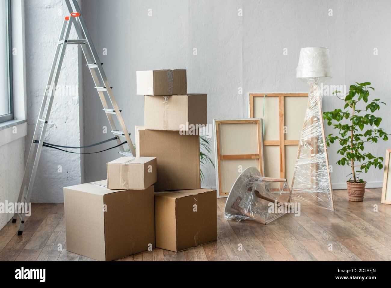 cardboard boxes, frames, ladder, lamp and plant in empty room, moving  concept Stock Photo - Alamy
