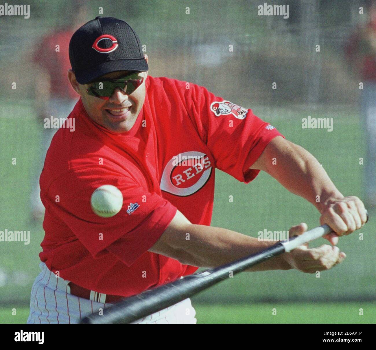 Cincinnati Red's outfielder Dante Bichette smiles as he hits the ball  during a game of "Pepper" with his teammates, before batting practice at Ed  Smith Stadium complex in Sarasota, Florida on February