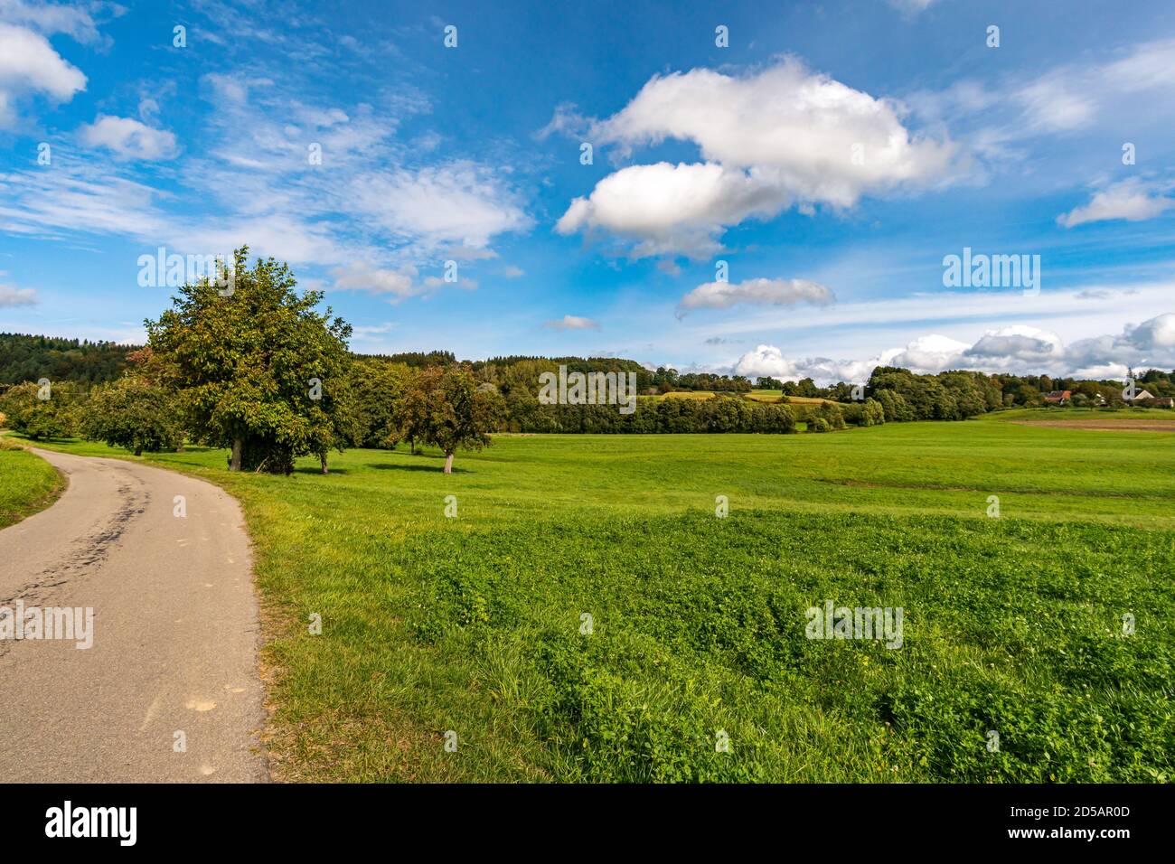 Wonderful, sunny autumn hike in Upper Swabia near Wilhelmsdorf near Lake Constance in Germany Stock Photo