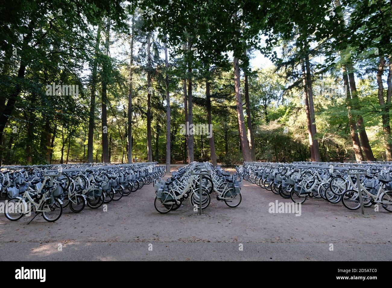 Bicycle parking at the entrance to De Hoge Veluwe National Park and the Kröller-Müller Museum near the village of Otterlo in the Netherlands. Stock Photo