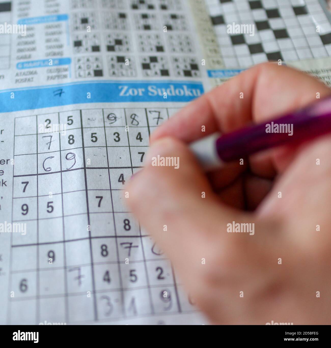 A pencil hand that solves sudoku.close up Stock Photo Alamy