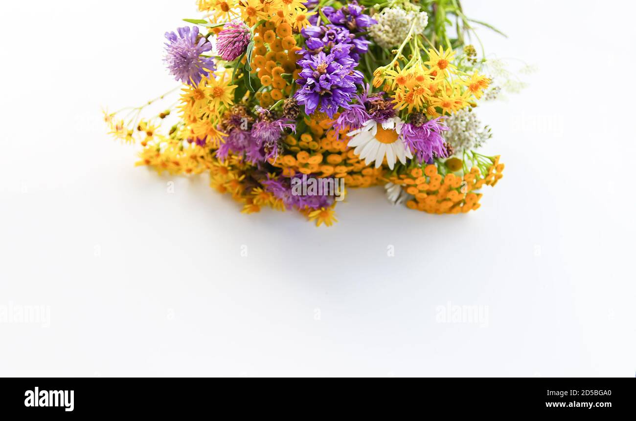 Bouquet of tansy, white daisy and thorny burdock wild summer flowers. Stock Photo