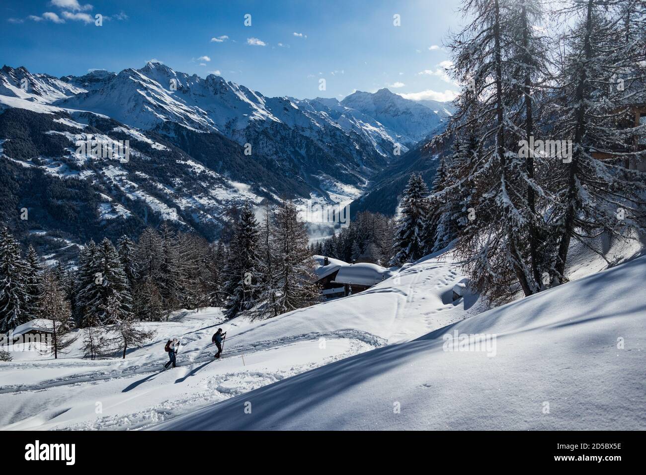 people-ski-touring-in-the-swiss-mountain-alps-stock-photo-alamy