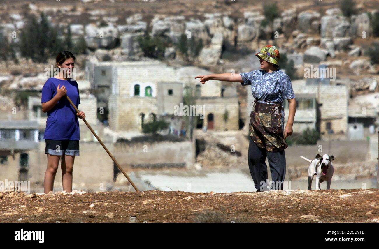 Bella Gelsson and her daughter Olha, (L) along with one of their five dogs, pause October 14 while raking up stones on this hilltop Jewish settlement outside of Itamar in the northern West Bank near Nablus. Behind is seen the tiny Palestinian village of Khan Yanun located on the other side of a small valley. Israeli officials said Prime Minister Ehud Barak has set a precedent by getting Jewish settlers to remove their outposts by agreement rather than confrontation. No one in this 'caravan' outpost however was making any moves today towards tearing down their five caravans. In fact residents w Stock Photo