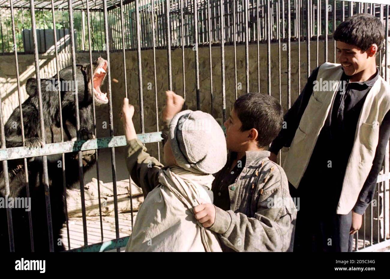 Afghan children feed a bear at a zoo in Kabul as life goes on in the Afghan capital under the Islamic Taliban new rulers October 13 Stock Photo