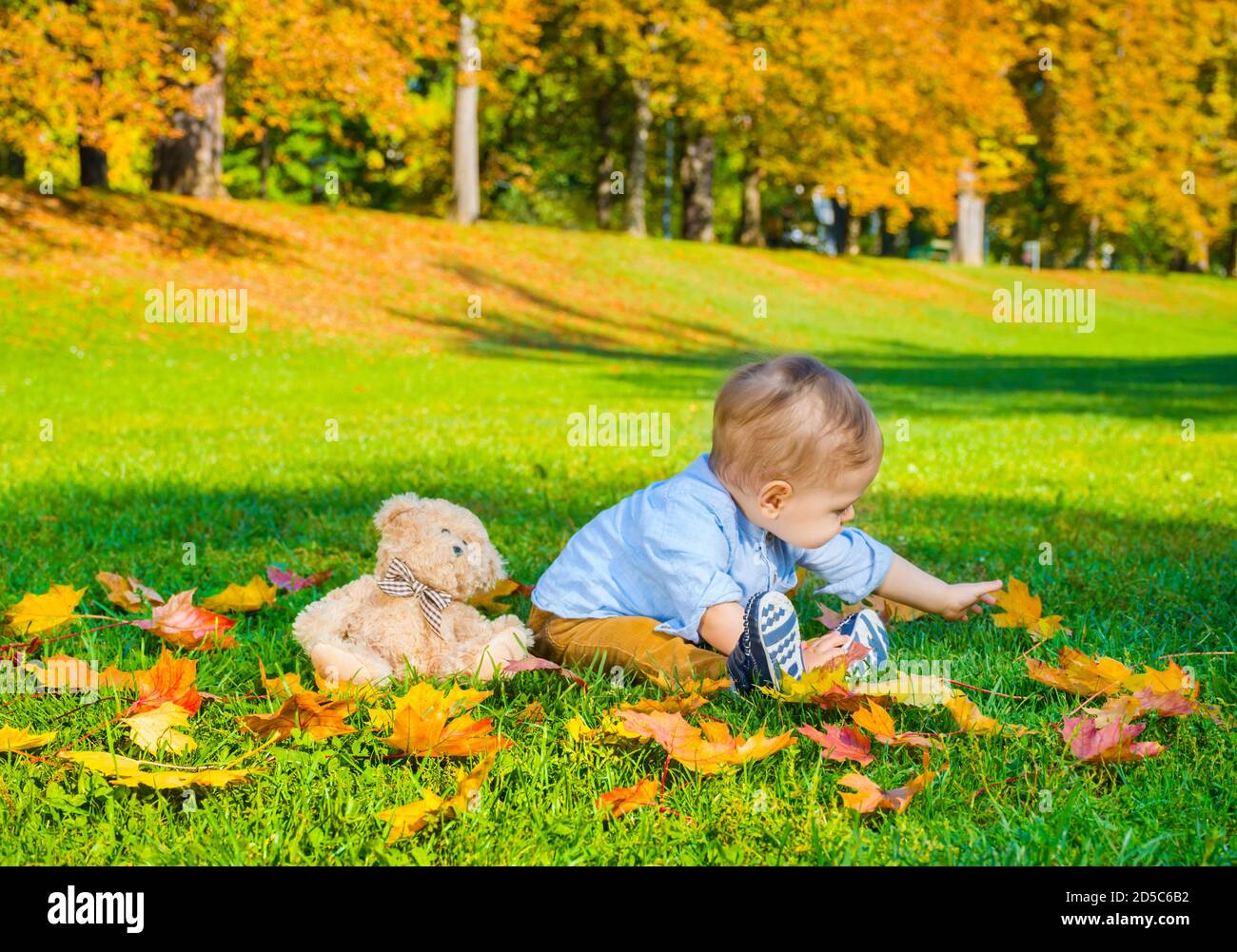 Small child playing with his teddy bear and colorful leaves in the park ...