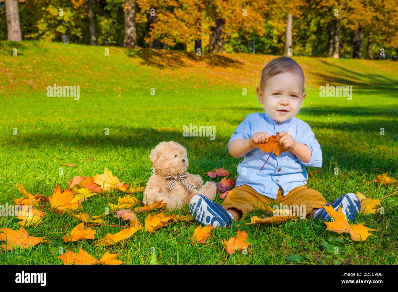 Small child playing with his teddy bear and colorful leaves in the park ...