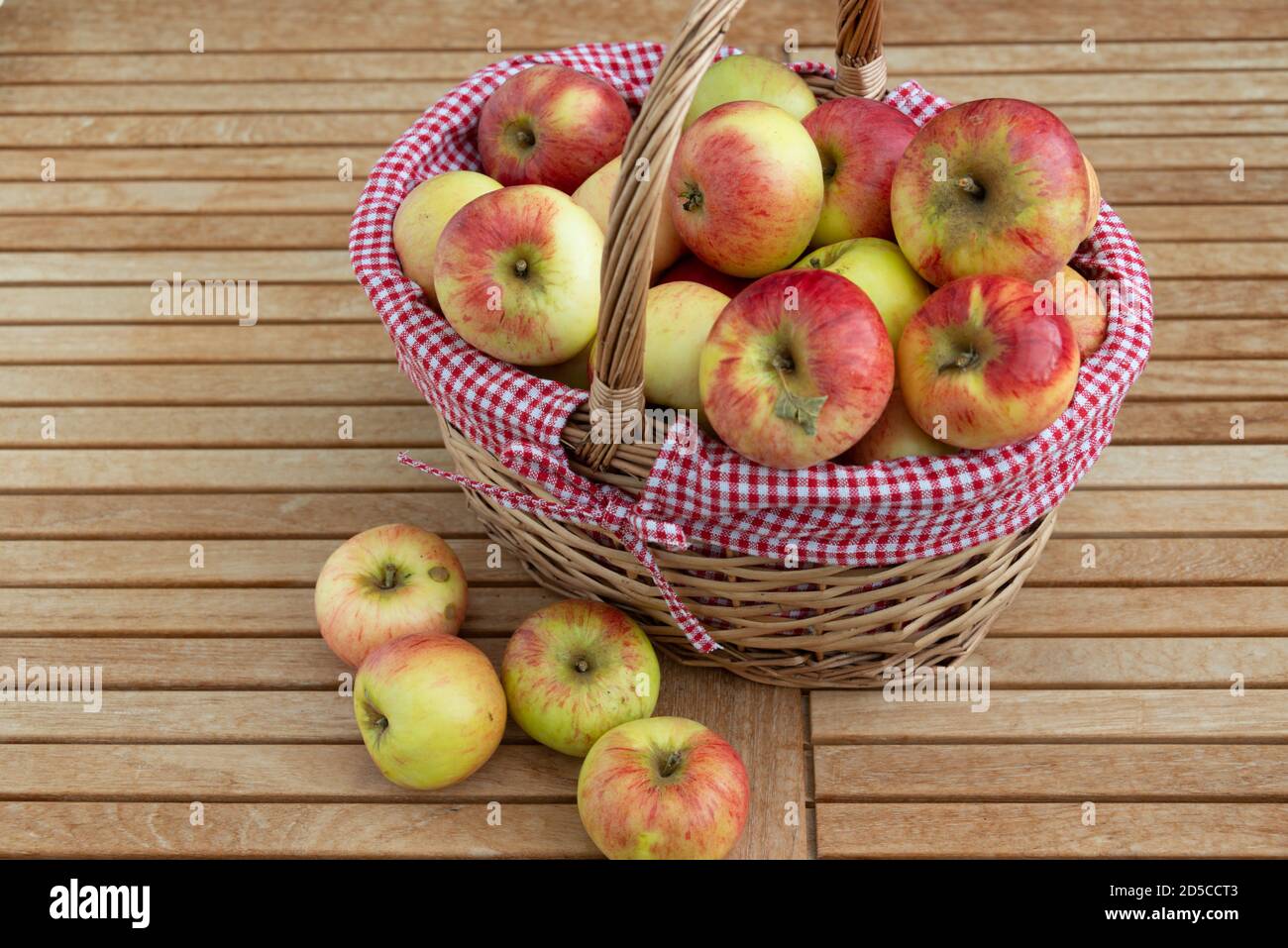 Frische Äpfel im Korb auf einem Gatenisch im Herbst Stock Photo