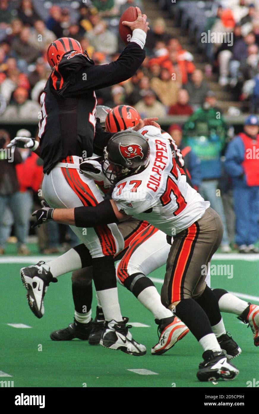 cincinnati-bengals-quarterback-paul-justin-l-is-sacked-for-a-loss-by-tampa-bay-buccaneers-nose-tackle-brad-culpepper-r-during-the-second-quarter-of-their-nfl-game-december-27-jpseldme-2D5CP9H.jpg