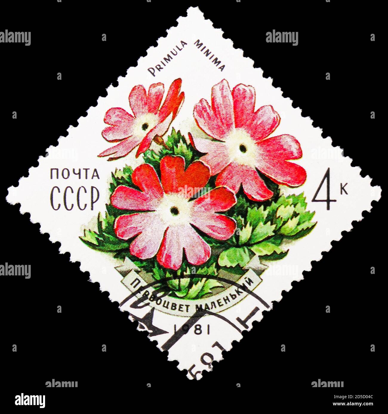 MOSCOW, RUSSIA - SEPTEMBER 28, 2020: Postage stamp printed in Soviet Union shows Primula (Primula minima), Flowers of the Carpathians serie, circa 198 Stock Photo
