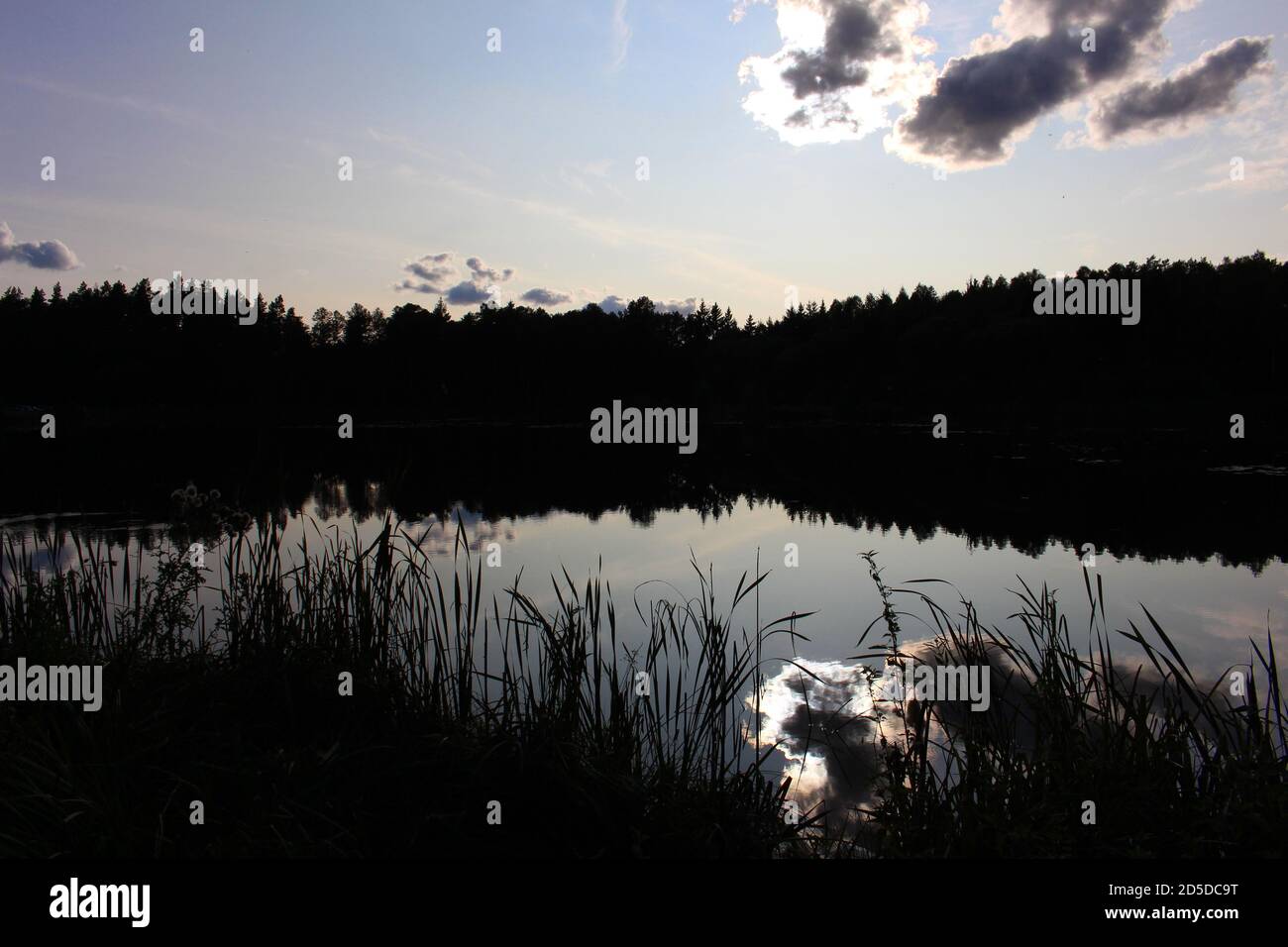 Local travel: Wyżary, Podlasie, Poland - small lake on swamps Stock Photo