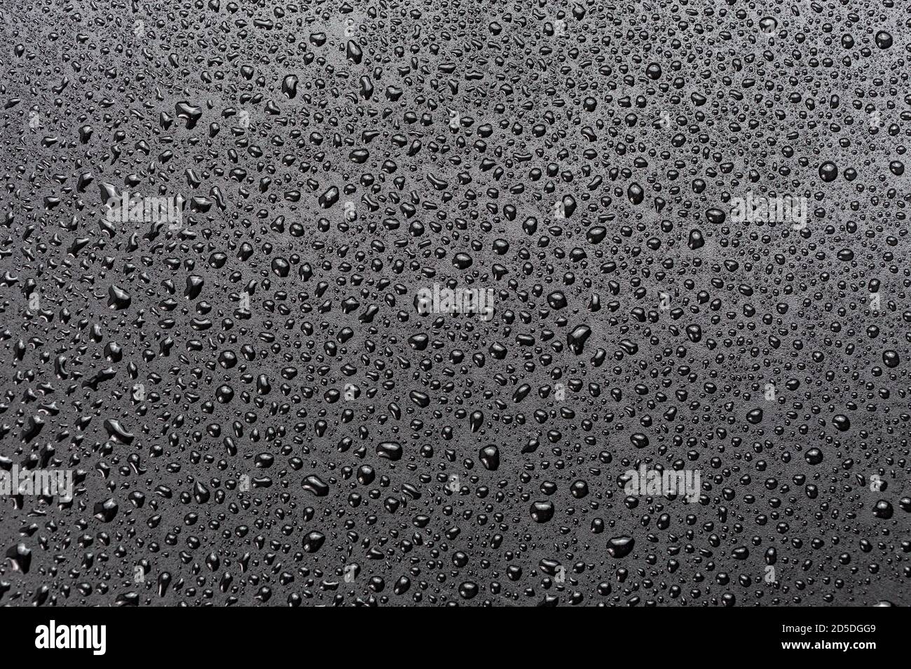 water drops on abstract flat black hydrophobic surface macro background