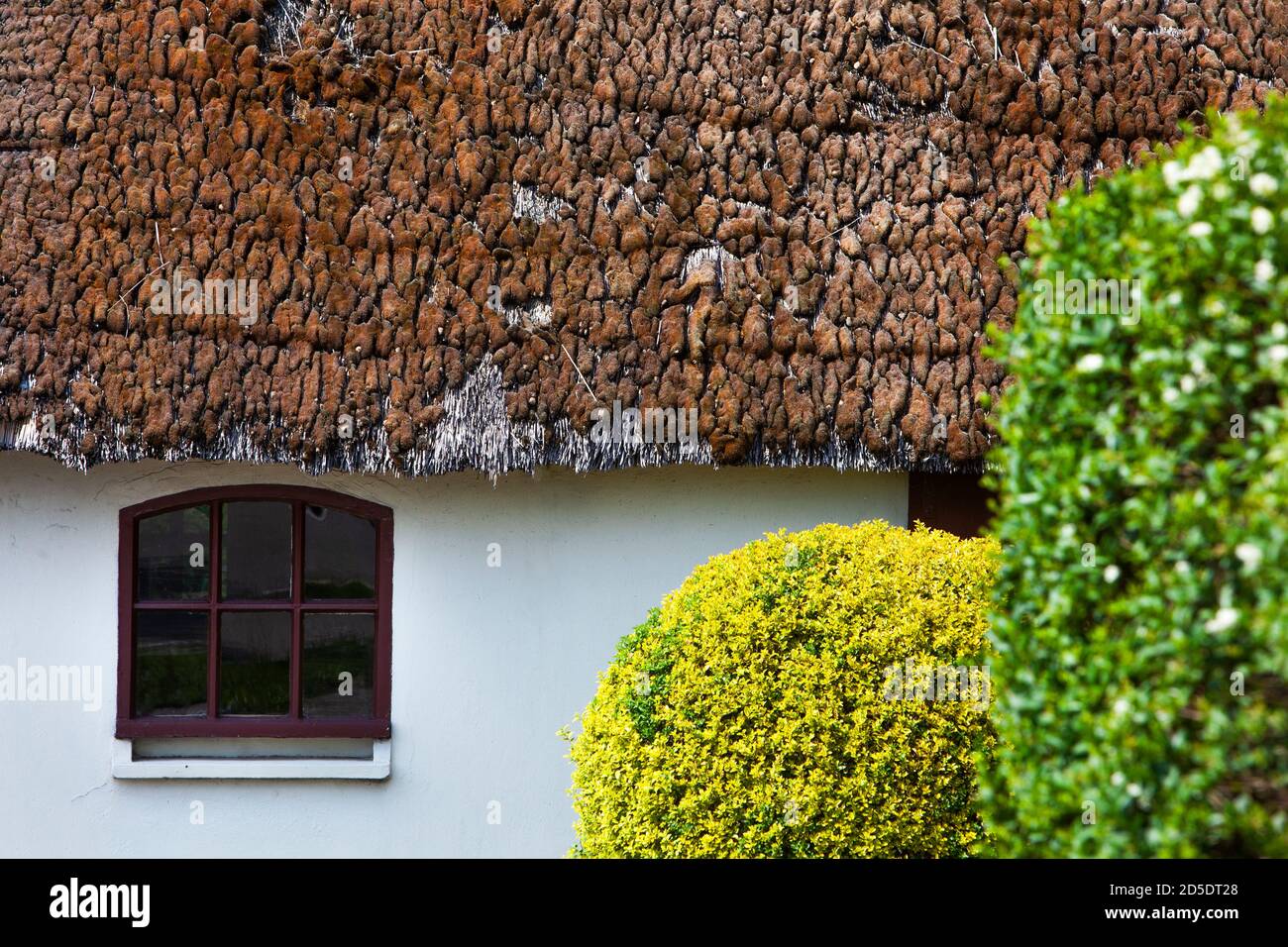 Farm window under an old thatched roof overgrown with moss Stock Photo