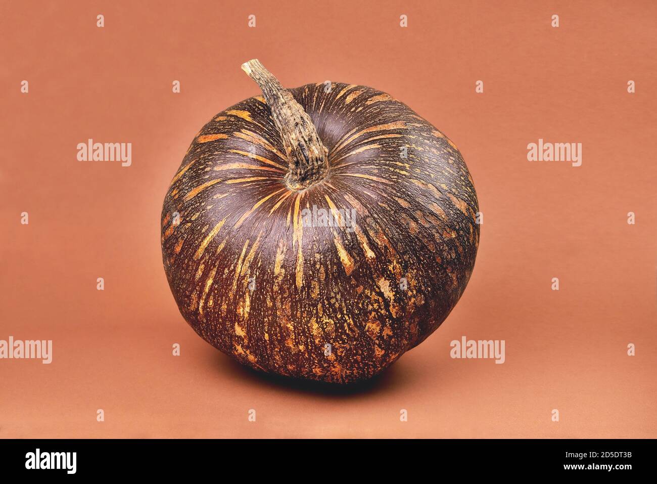 Pumpkin Of Brown Color With Yellow Stripes Of A Round Shape On A Beige Bright Background Close Up Stock Photo Alamy