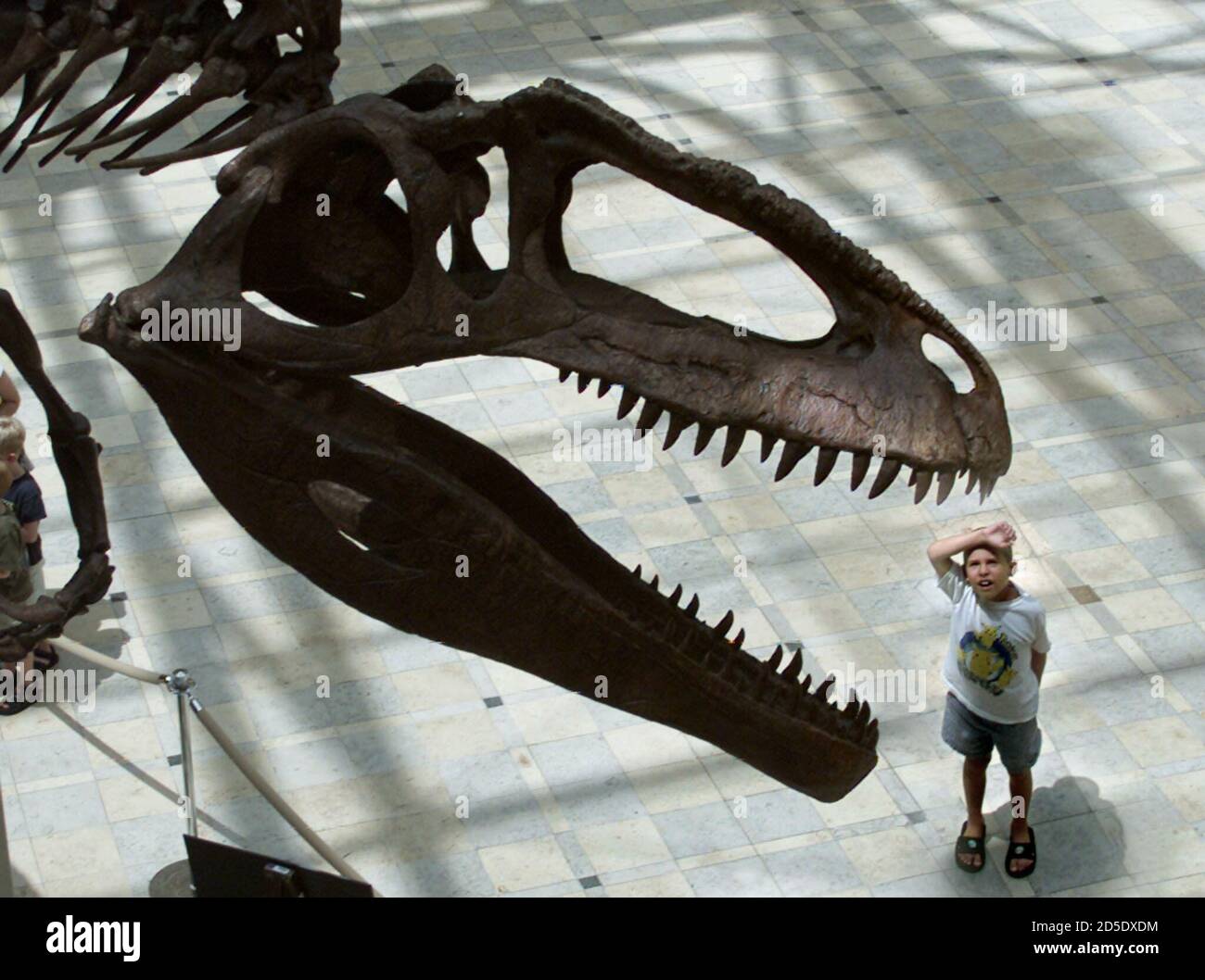 Giganotosaurus High Resolution Stock Photography and Images Alamy