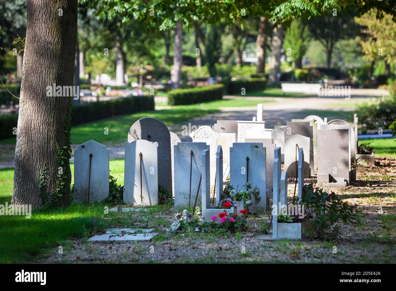 Tombstones with flowers on a cemetery in Rotterdam in the Netherlands Stock Photo