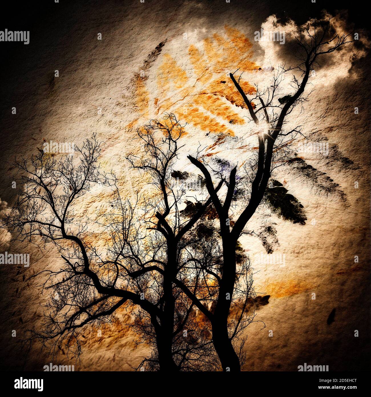 Silhouetted tree against an artistic sunset with clouds and patterns in the sky at dusk Stock Photo