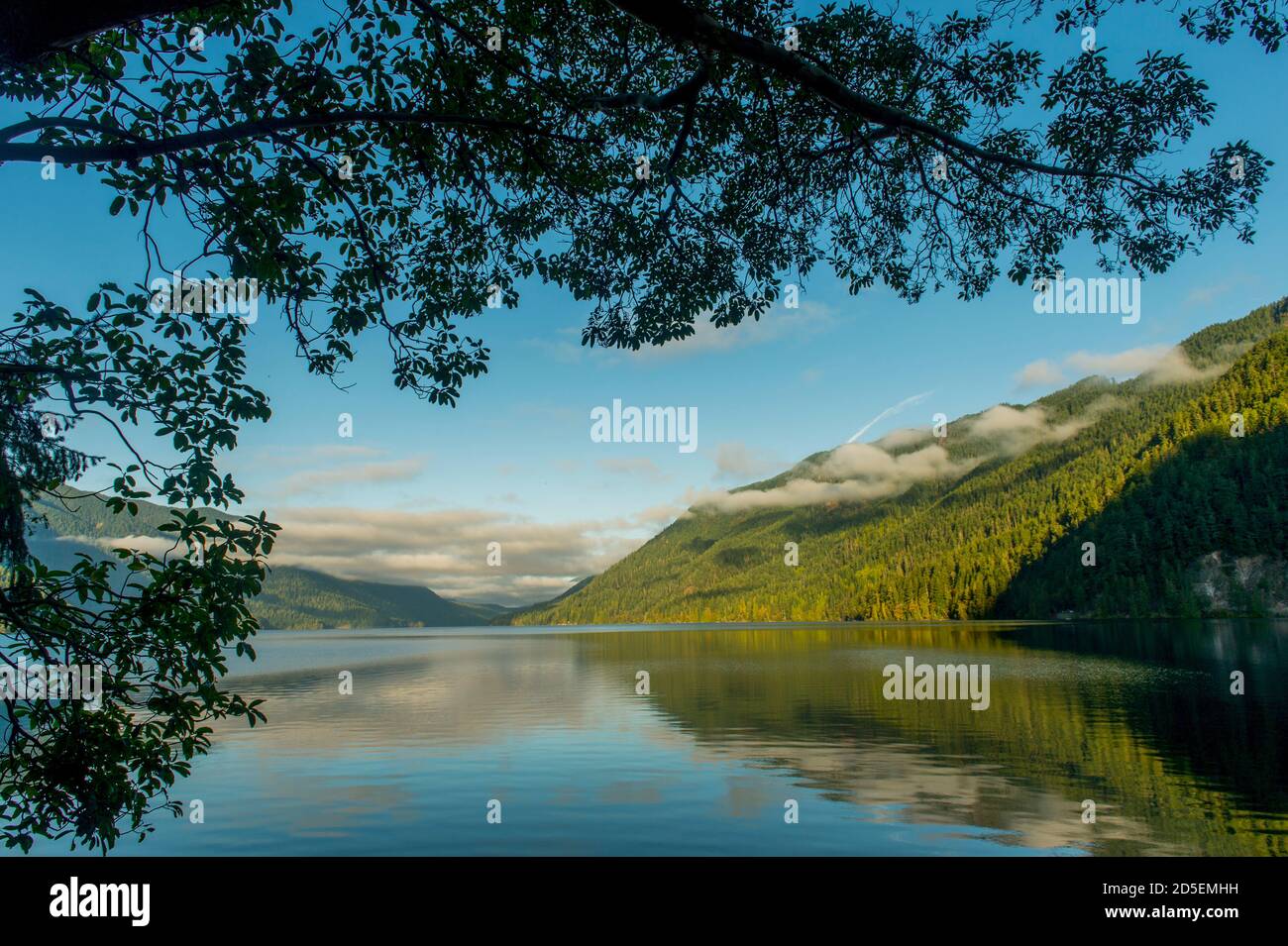 Lake crescent olympic peninsula