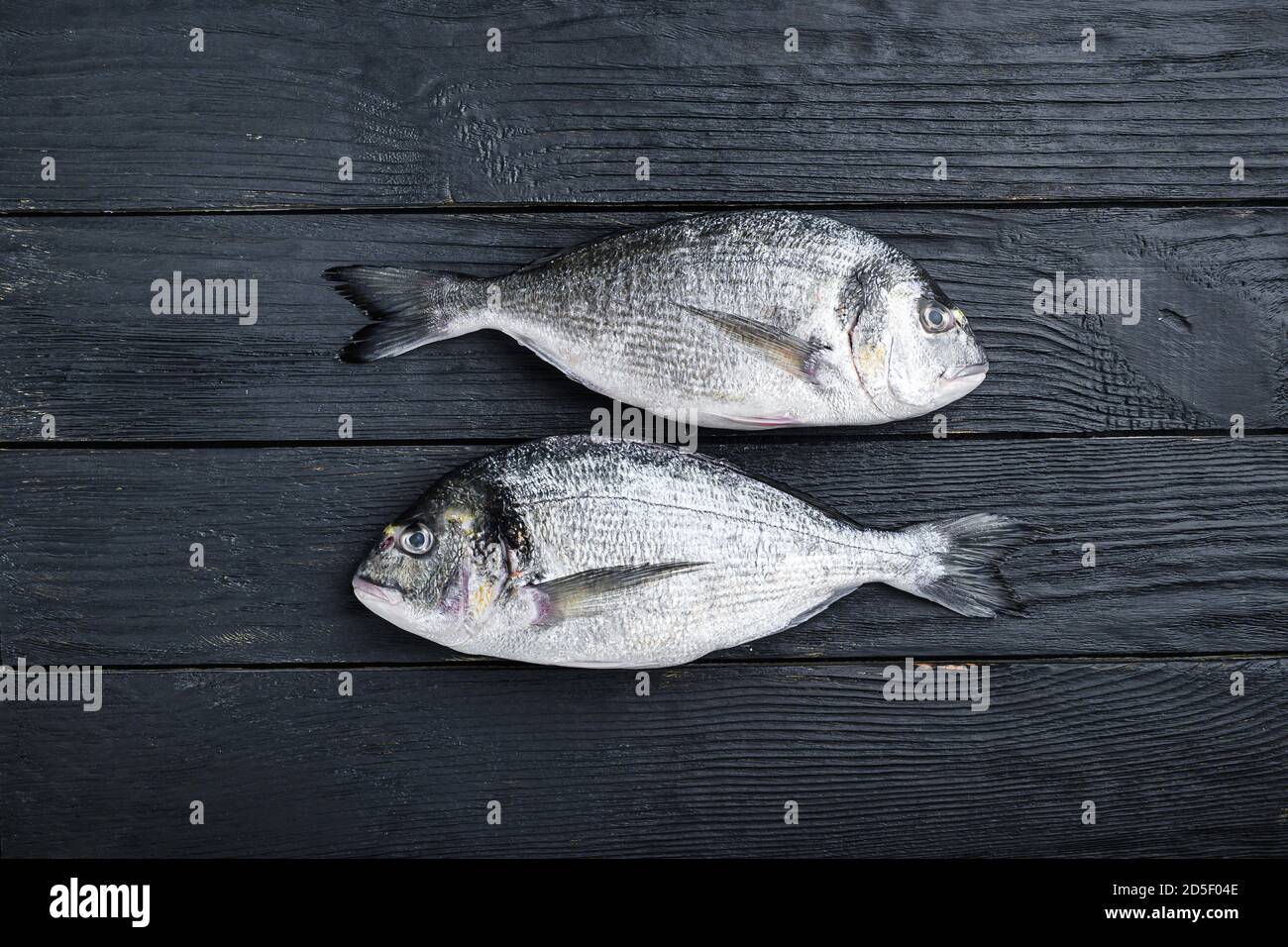 Raw dorado or sea bream fish ob black wooden background top view with ...