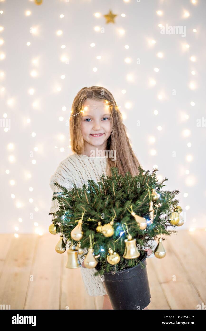 Little blonde girl in a white knitted sweater dress on a background of yellow bokeh from a garland. New Year card. holds a pot with a Christmas tree Stock Photo