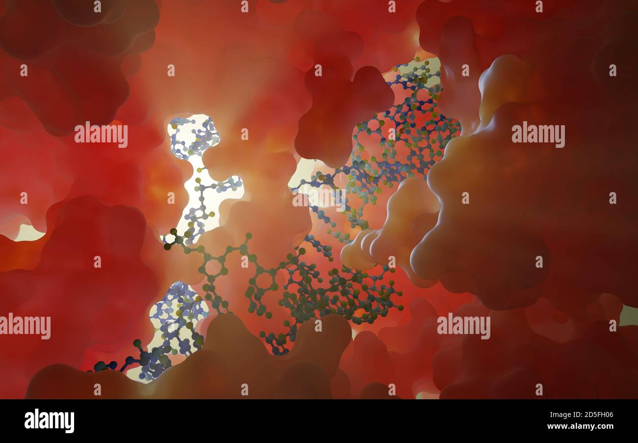 Working like genetic scissors, the protein (Cas9 nuclease) complexed with DNA and guide RNA, can modify or repair DNA (genome) with high precision. Stock Photo