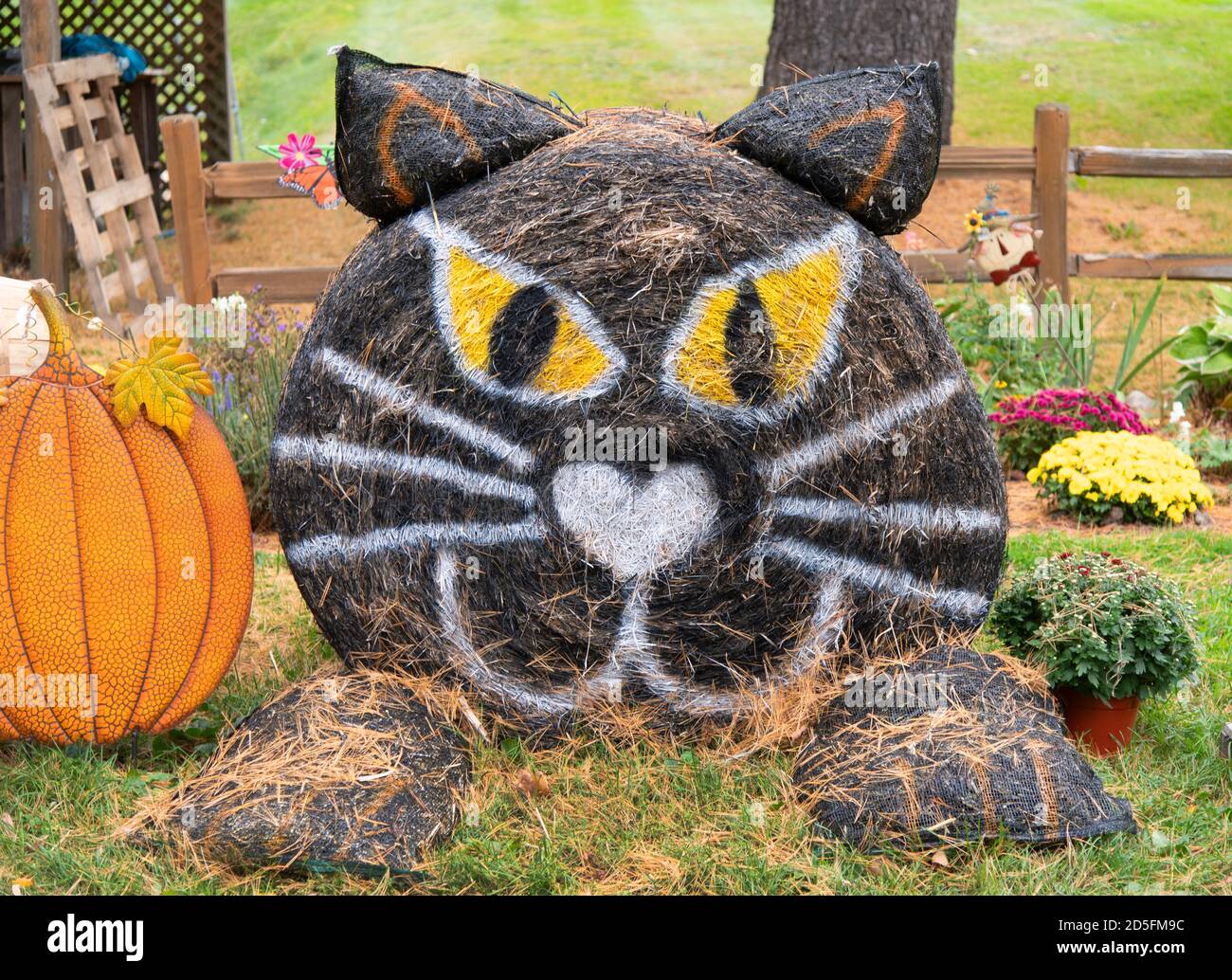 A cat made out of a bale of hay on display at a roadside farmstand in  Deerfield, Massachusetts, USA, Stock Photo