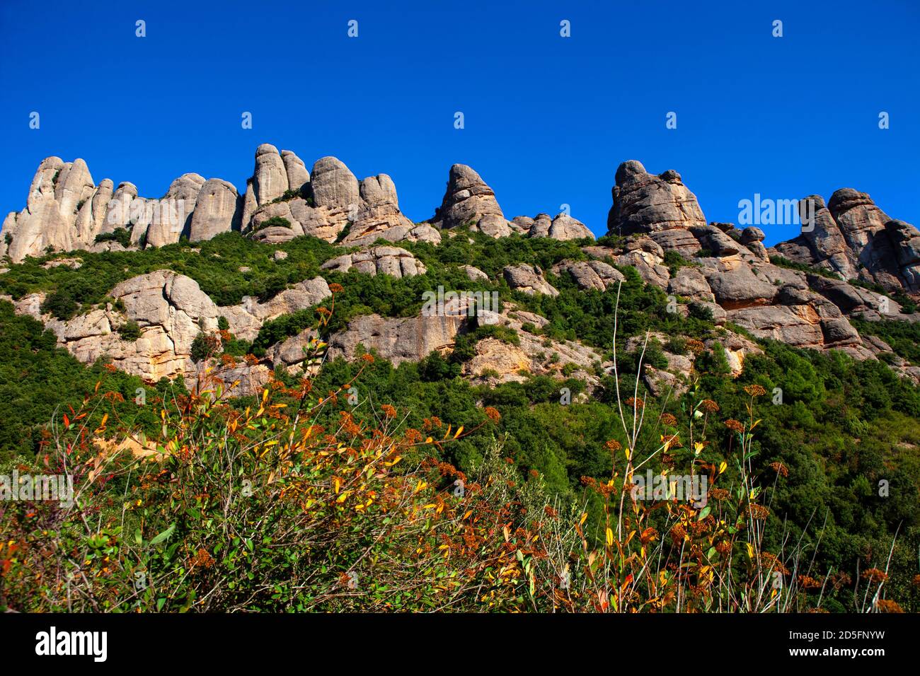 Autumn colours on the mountain of Montserrat, near Barcelona, Catalonia, Spain Stock Photo