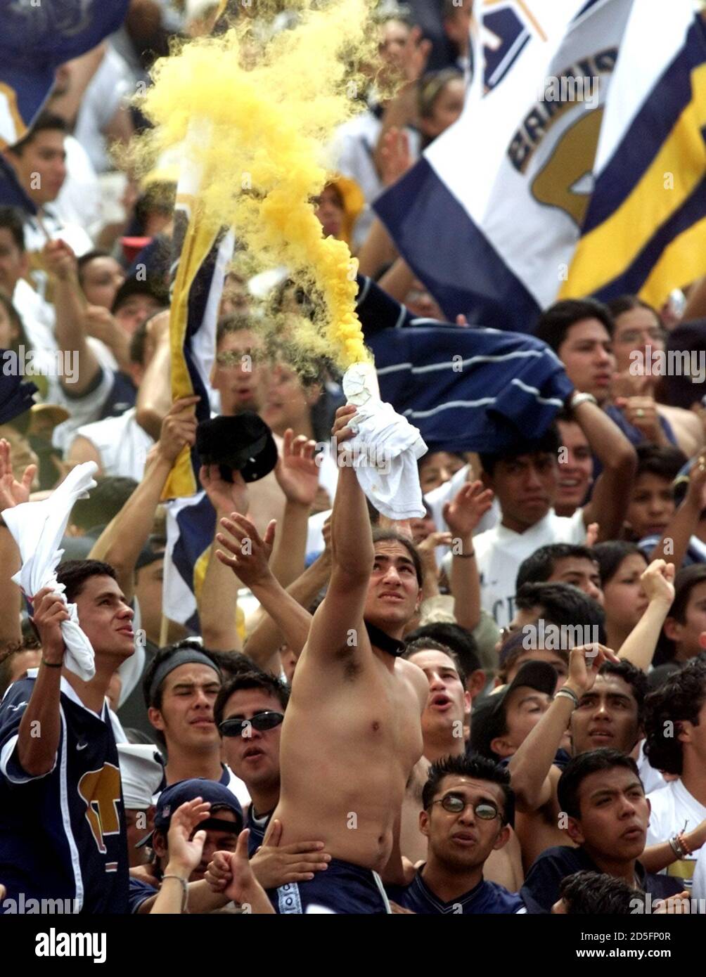 National Autonomous University of Mexico (UNAM) Pumas fans celebrate after  their team scored its second goal against Necaxa Rayos during their  national league quarterfinals second leg in the University Stadium, May 21.