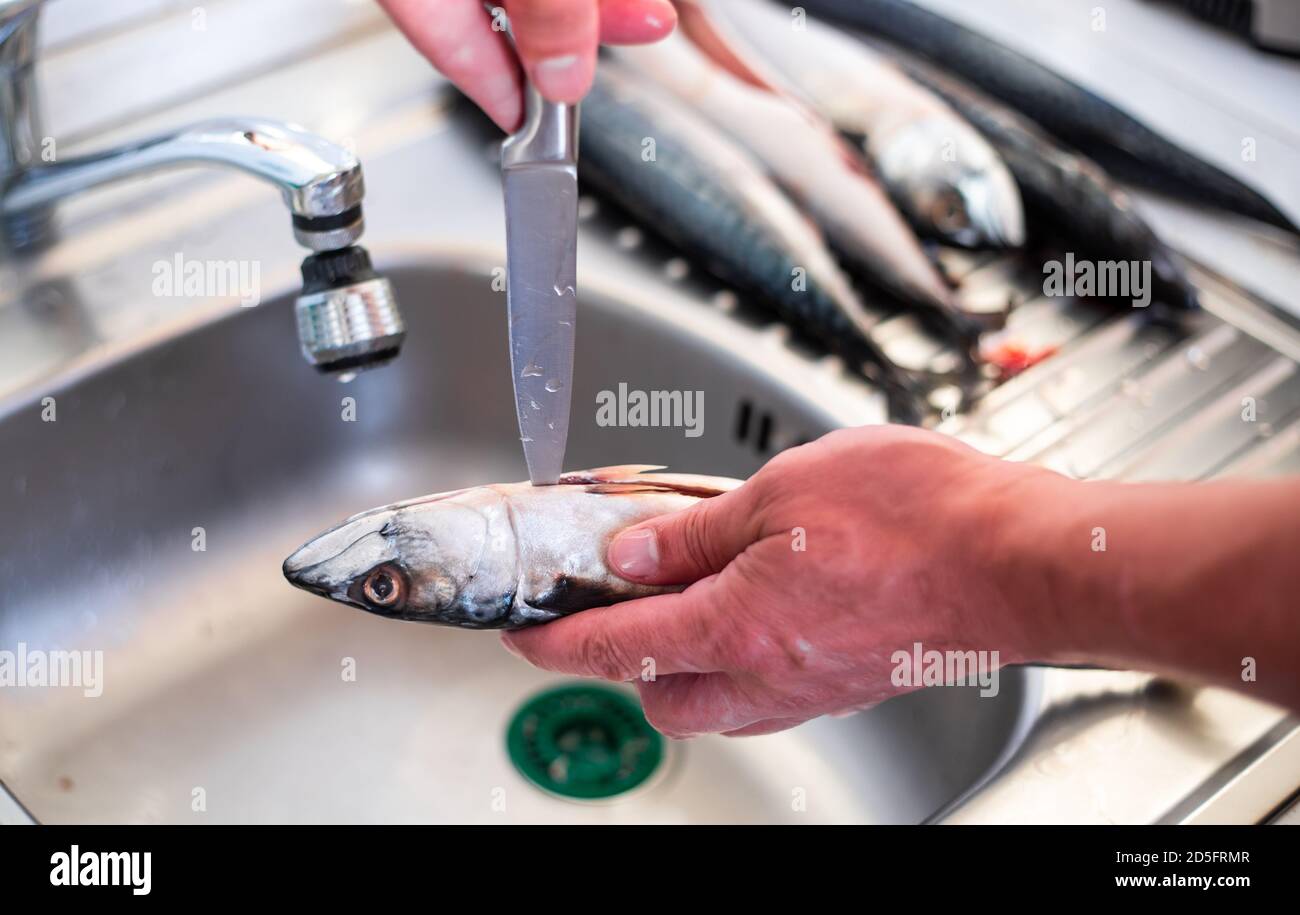 Process of filleting or preparing a fish to cook, food concept Stock ...