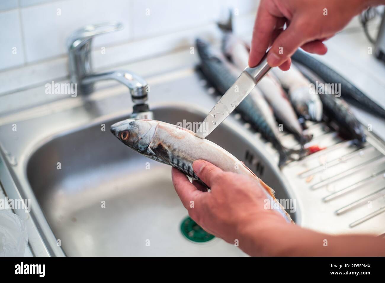 Process of filleting or preparing a fish to cook, food concept Stock ...