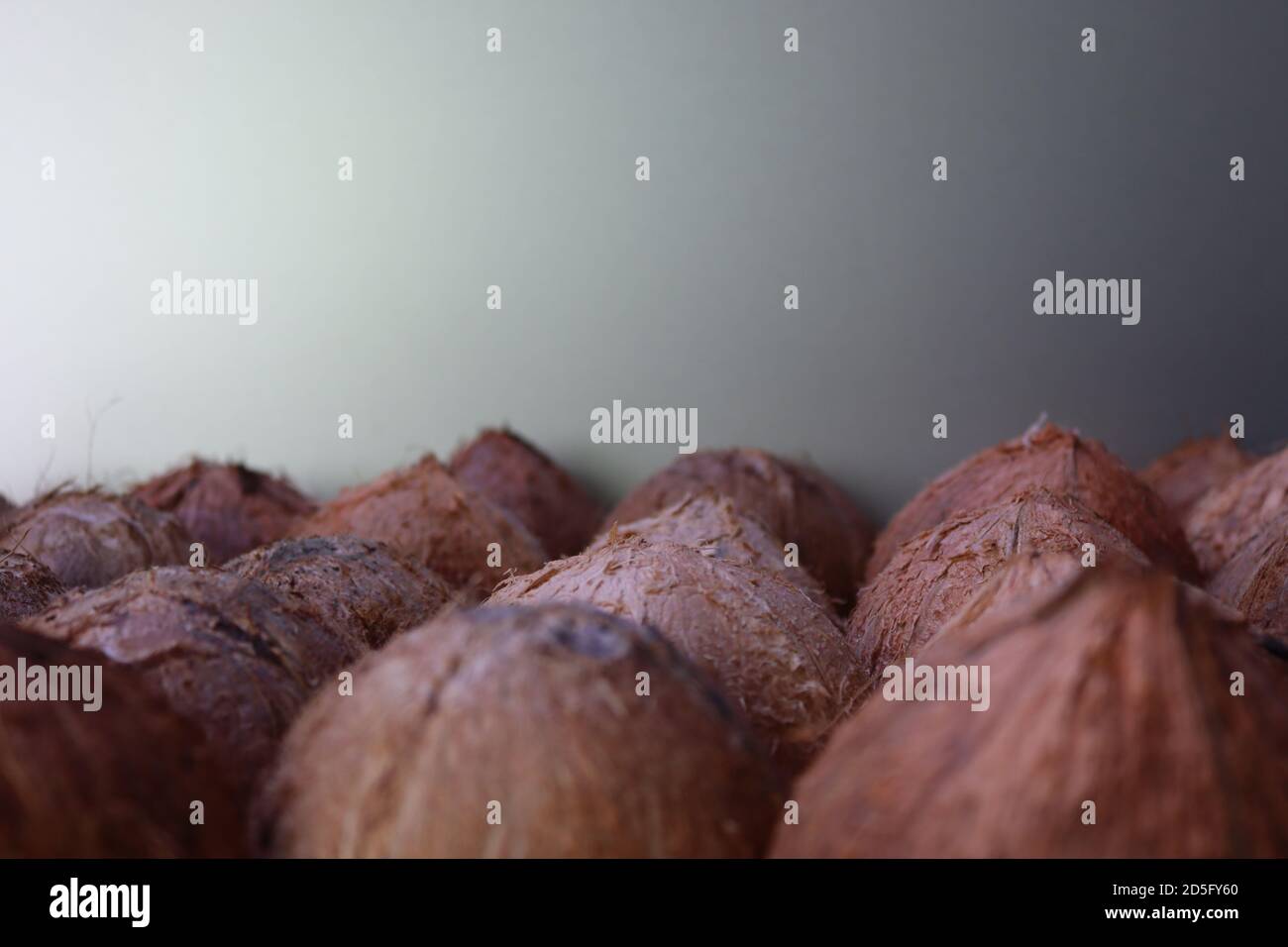 These are coconut shells. After collecting coconut spread we can see these shells. These shells are ready for most creative handmade items. Stock Photo