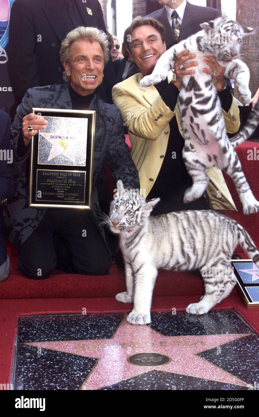 Siegfried (L) and Roy, illusionists who feature rare white tigers in their  Las Vegas act, pose with two of the tiger cubs as they are honored with a  star on the Hollywood