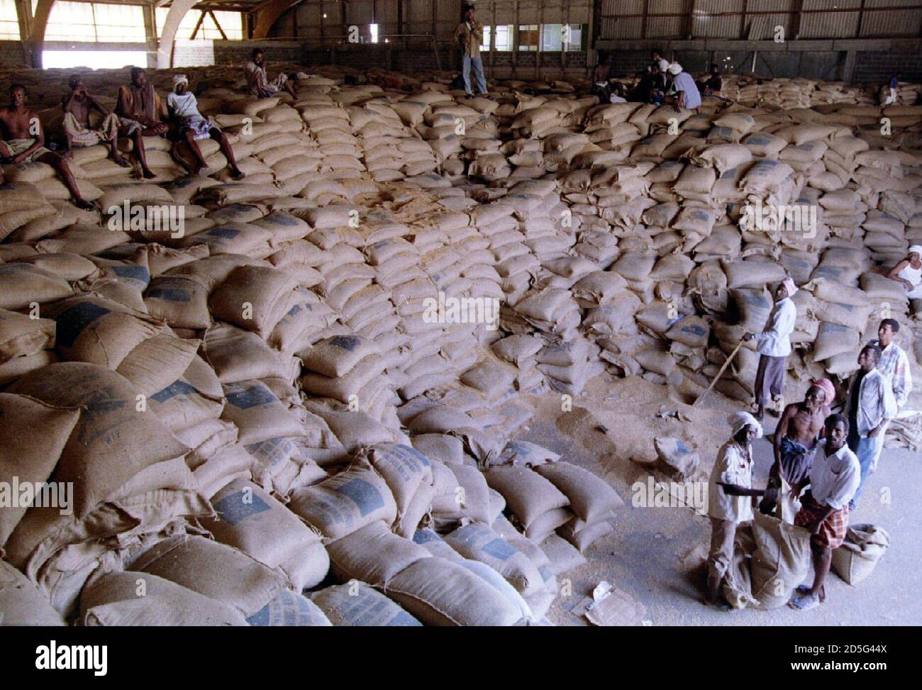 Destitute Somalis get a two-kilo scoop of wheat at a distribution centre February 6 Stock Photo