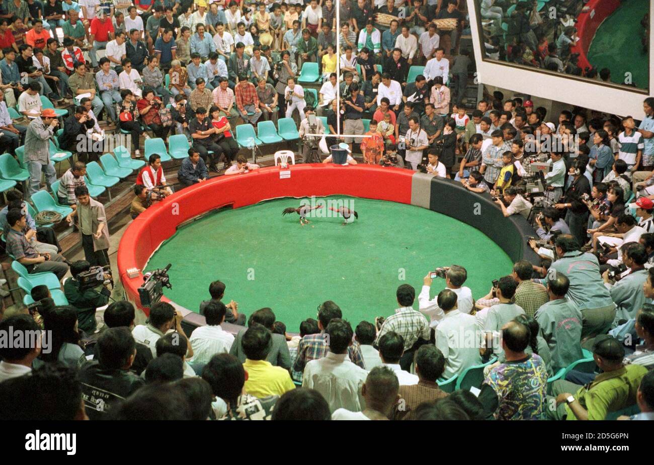 the best public amateur Porn Pics Hd