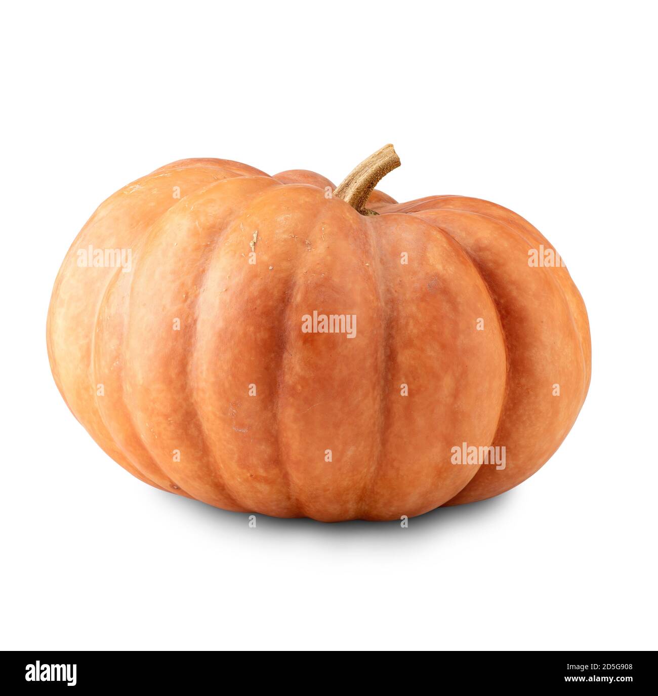 Pumpkin isolated on white background with clipping path Stock Photo - Alamy