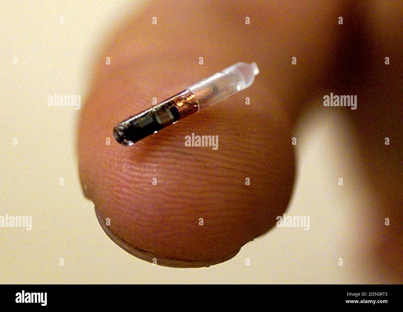 Micro chip dog vet hires stock photography and images Alamy