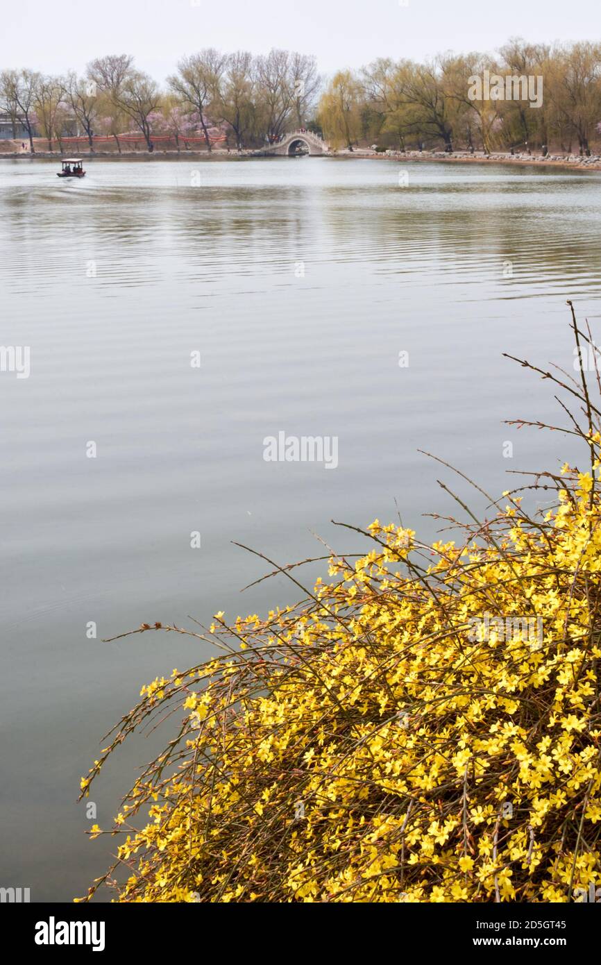 Old Summer Palace (Yuanmingyuan) park in spring in Beijing, the capital of China Stock Photo