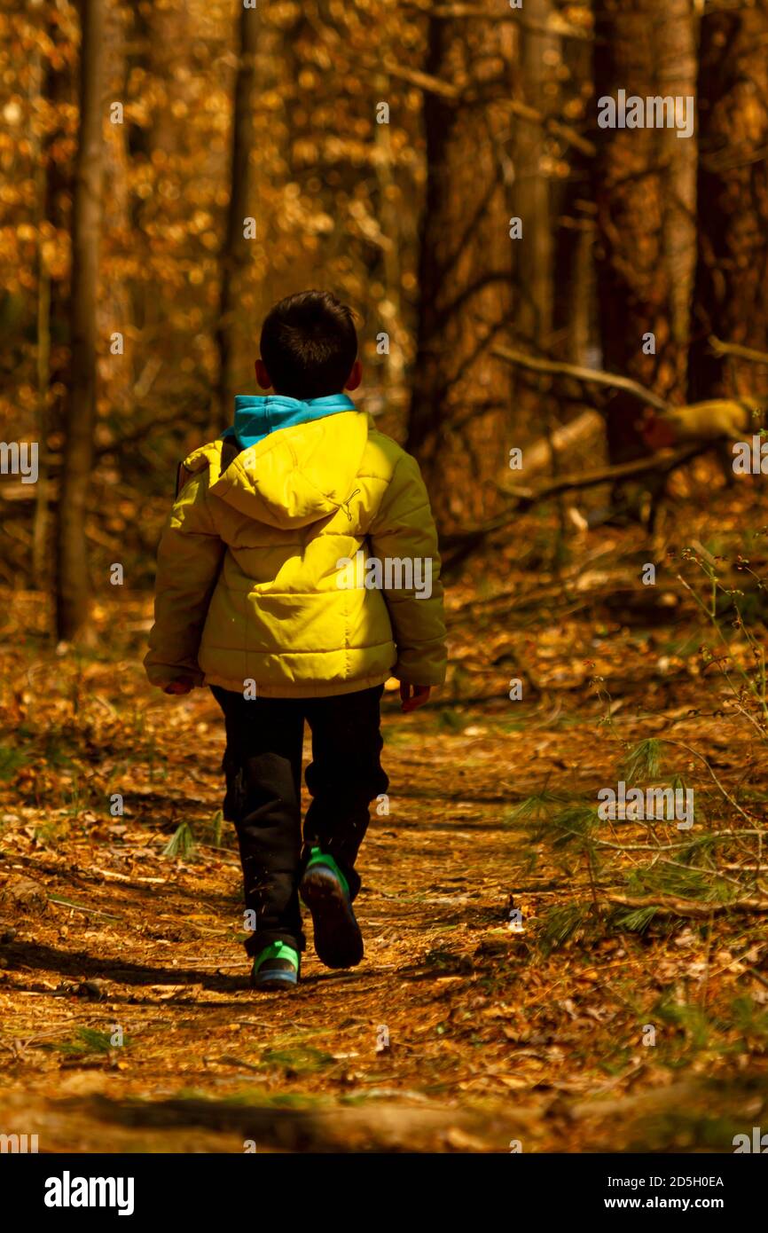 A boy wearing a winter coat with a hood is walking alone in a hiking trail covered with fallen autumn leaves. The trail goes through a forest and is s Stock Photo