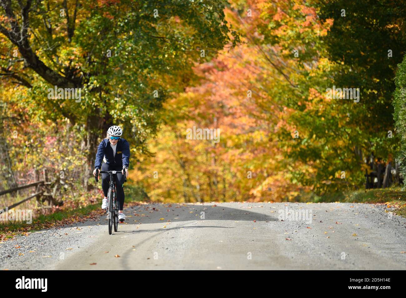 Bicyclist riding on a dirt road by colorful autumn maple trees near Craftsbury Outdoor Center, Craftsbury, VT, New England, USA. Stock Photo