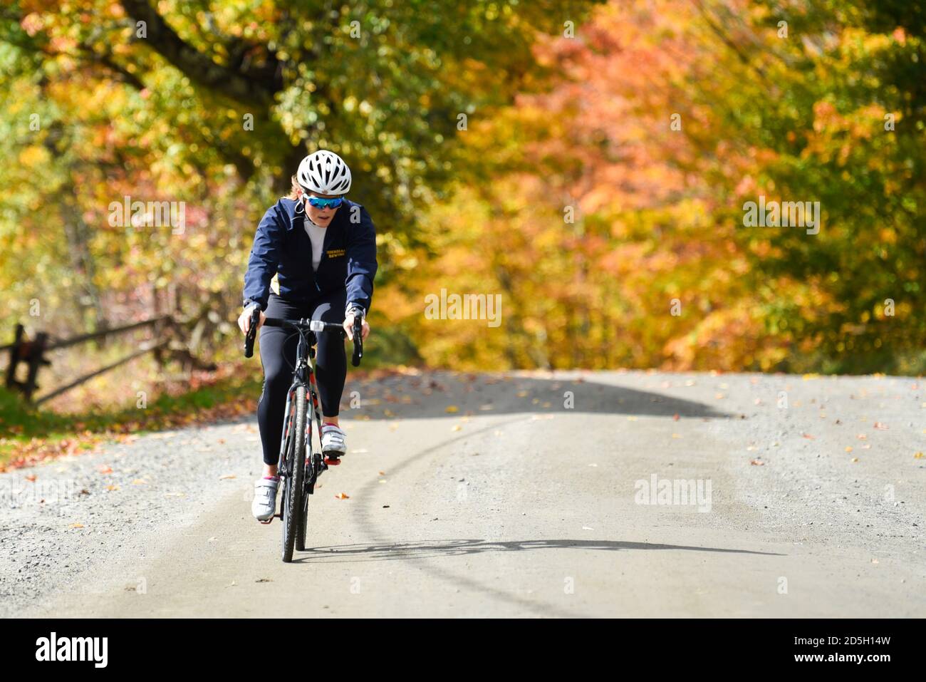 Bicyclist riding on a dirt road by colorful autumn maple trees near Craftsbury Outdoor Center, Craftsbury, VT, New England, USA. Stock Photo