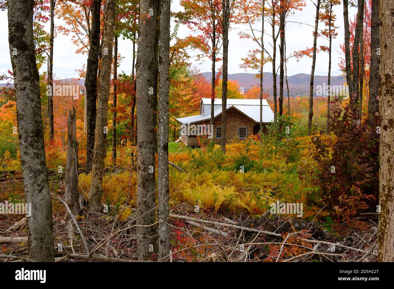 October Fall foliage, Vermont, USA. In the Northeast Kingdom town of