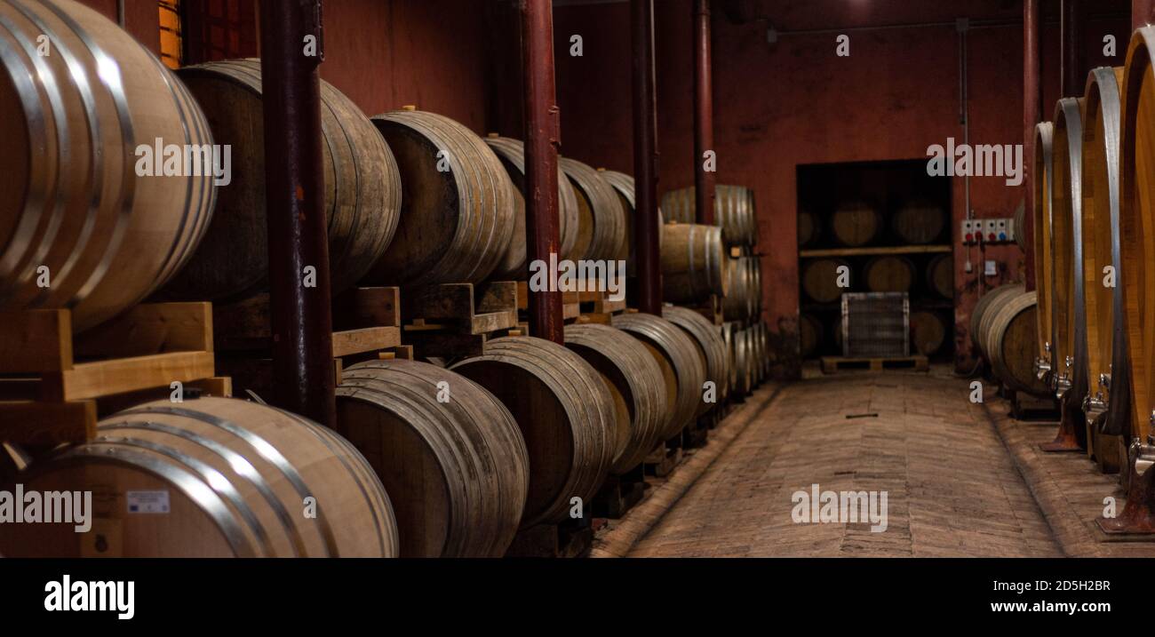 Wooden barrels for wine aging in the cellar. Italian wine. Stock Photo
