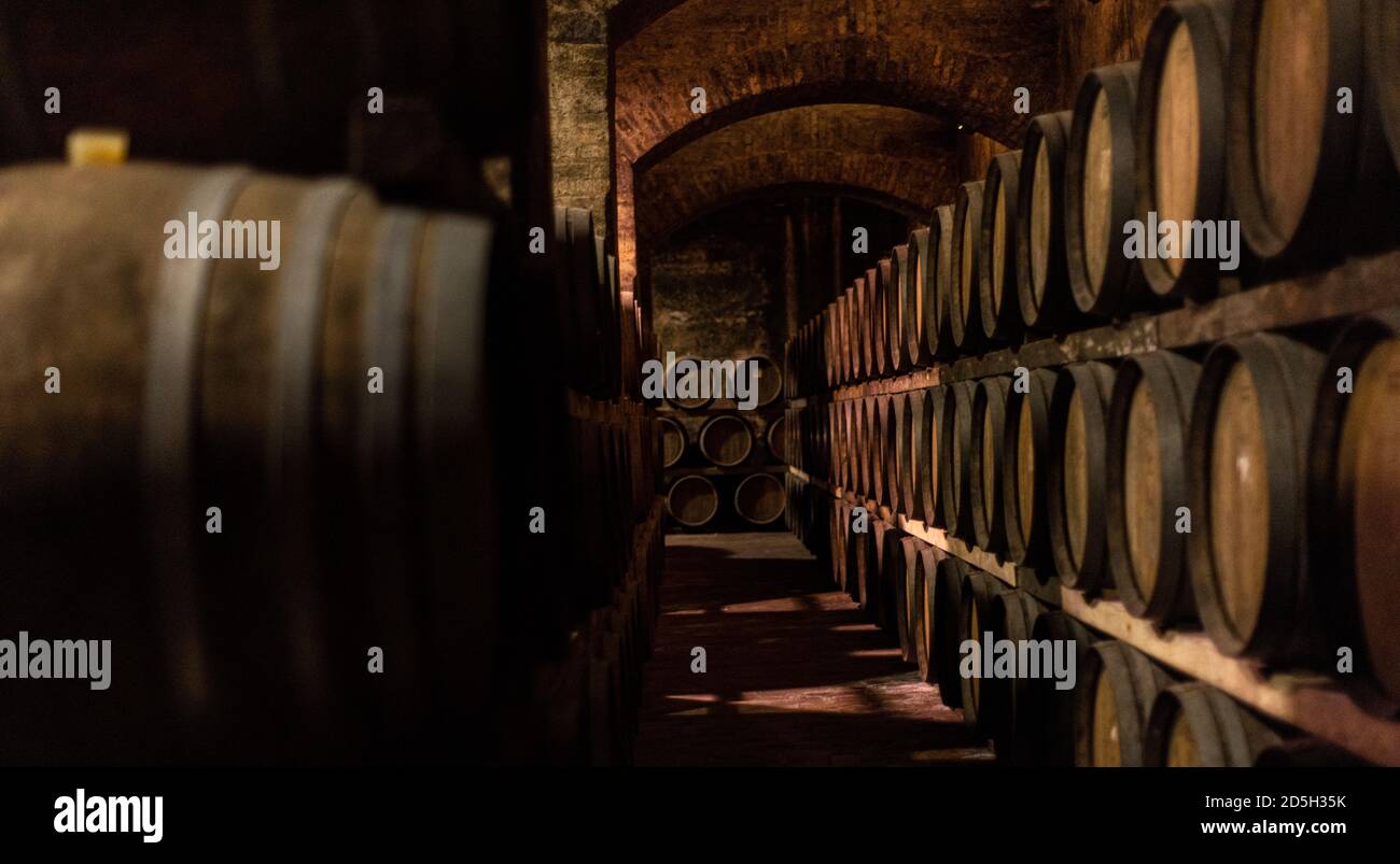 Wooden barrels for wine aging in the cellar. Italian wine. Stock Photo