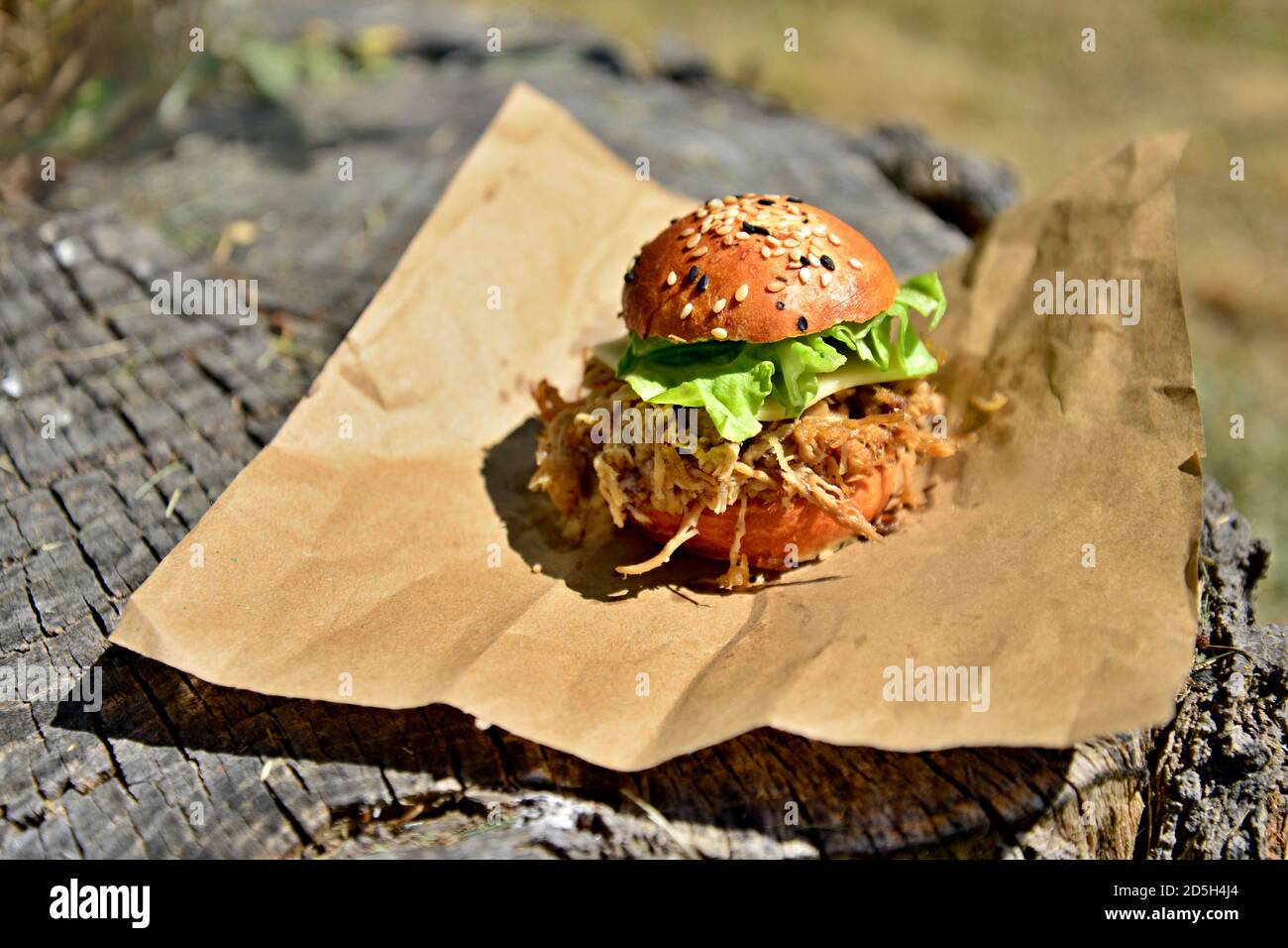 Cheese burger with shredded meat and fresh salad. On a stump in the forest. Stock Photo
