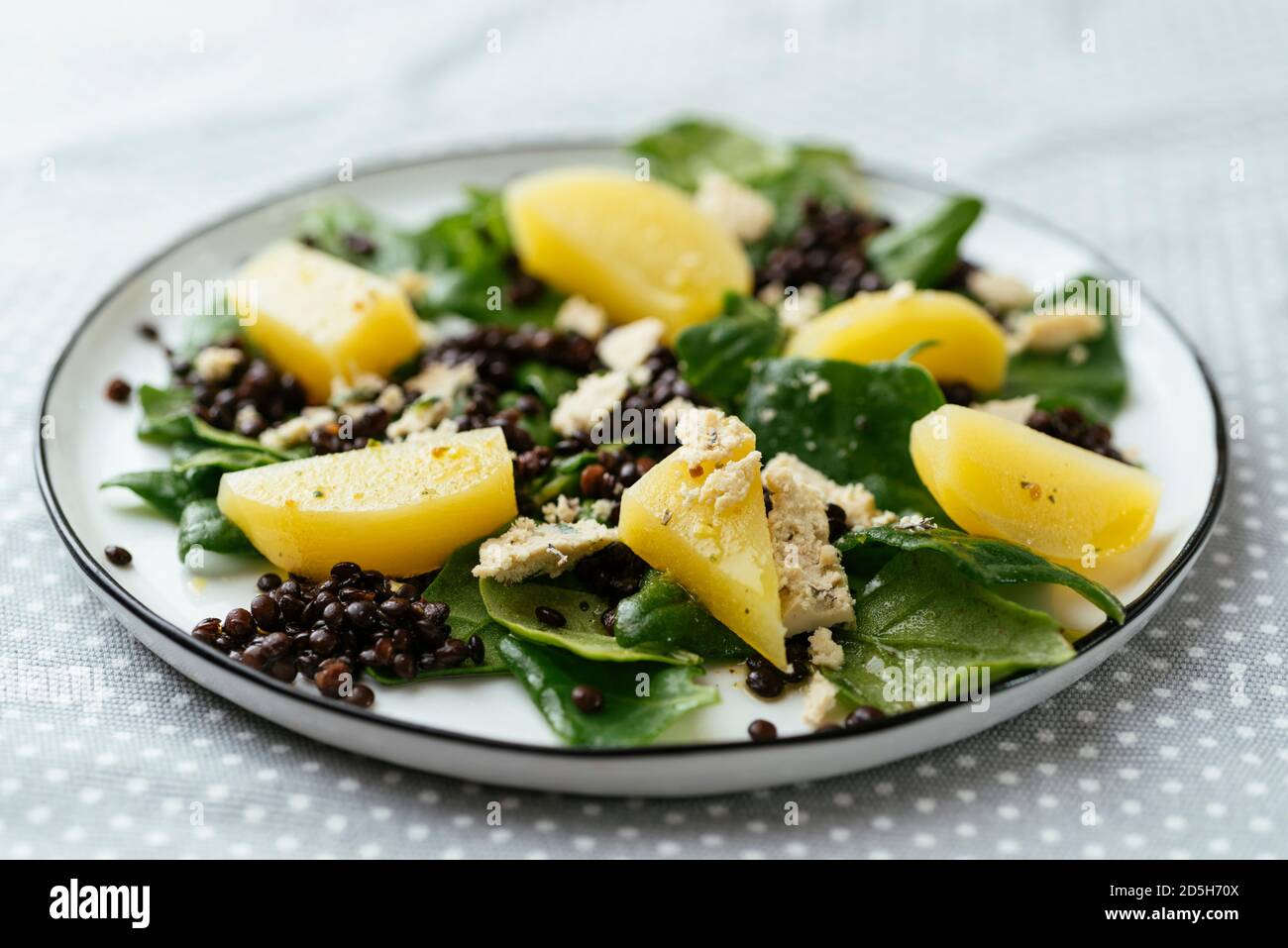 Lentil, Golden Beet and Spinach Salad with Home Made Vegan Feta Stock Photo