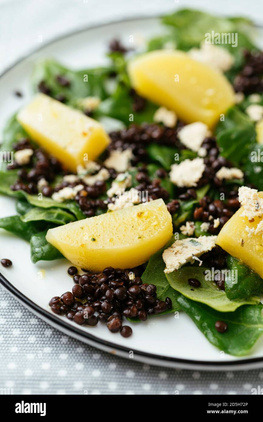 Lentil, Golden Beet and Spinach Salad with Home Made Vegan Feta Stock Photo